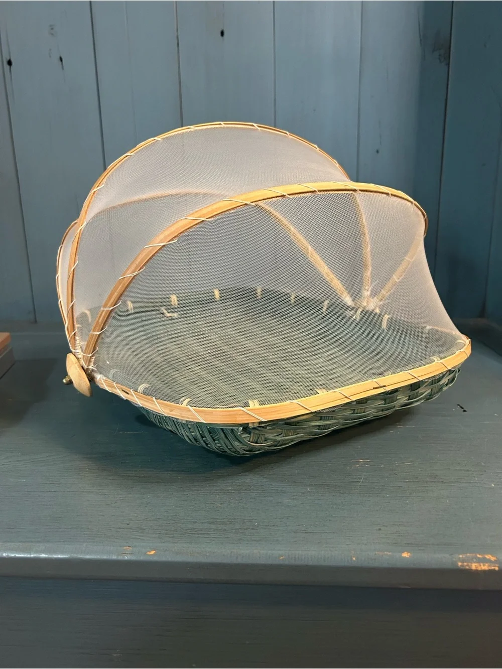 Bestoyard Teal Woven Serving Basket w/ White Mesh Cover Summer Outside Bbq/Party